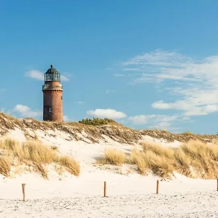 Baltic Sea House Seagrass Fireplace *
