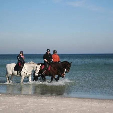 Baltic Sea House Seagrass Fireplace *